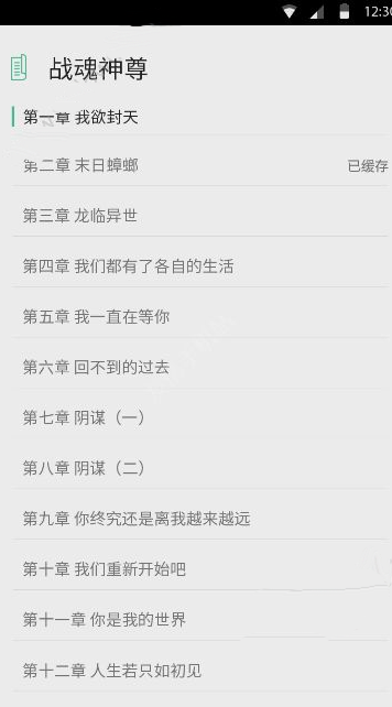 本泽马28场造30球接近全队一半